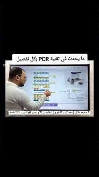 ماذا يحدث فى PCR بالتفصيل