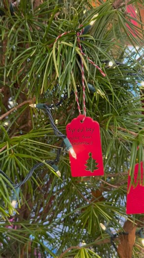 Just a handful of Giving Tree tags left 🎁✨ There’s still time to choose a tag, pick up a gift, and drop it off at Kennedy’s or Scituate Community Christmas by Dec 15 to help make Magic. #scituatecommunitychristmas #scituate #southshorema #marshfield #cohasset #norwell #hingham #duxbury #scituatema @scituatecommunitychristmas | Kennedy's Country Gardens