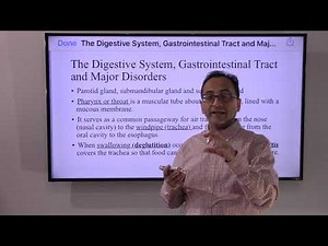 The Digestive System, Gastrointestinal Tract and Major Disorders