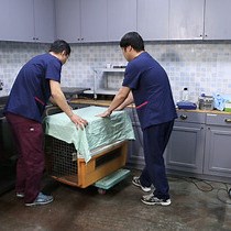 Video: An Anesthesia, Surgery, and Harvest Method for the Evaluation of Transpedicular Screws Using an In Vivo Porcine Lumbar Spine Model