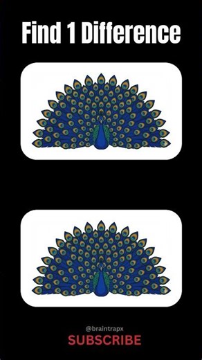 Find 1 Difference 👀