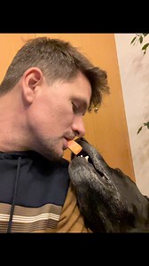 My dog is so gentle 🥹❤️🥰😍 | Pau Masó