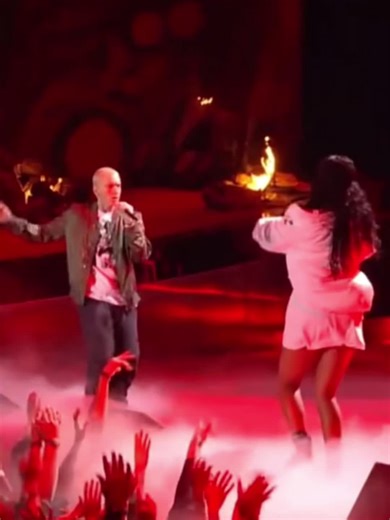 Rihanna and Eminem: A Musical Bond at the Concert