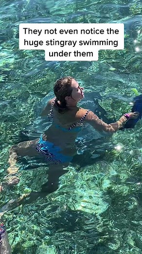 #saltlifeecotours #fyp #travelbelize