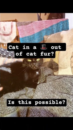 Cat in a Hat out of a Cat? #Catception