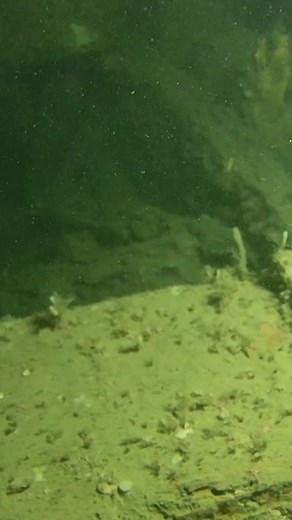 Dive into a new episode of #HistorysGreatestMysteries, Mondays at 9/8c.