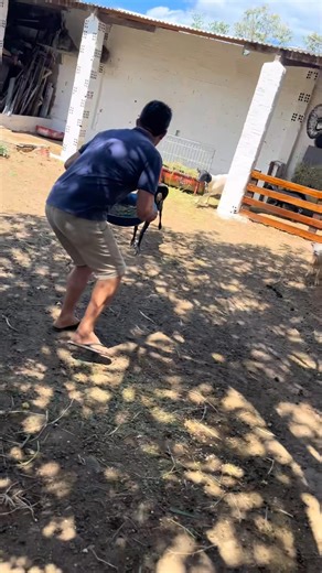 Man Vs goat today🐐😍❤#goat #goats #goatworthy #Goatcheese #goatsofinstagram #goatee #GoAtleti | Eris hosy