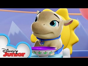 Henry the Hippo Profile | T.O.T.S. | Disney Junior