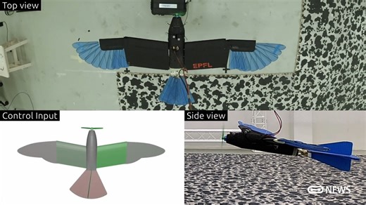 自适应变形为稳定，弹性和节能飞行的鸟类新型无人机- EPFLLIS