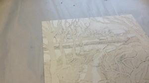 Sarah Ross-Thompson Artist/Printmaker on Reels