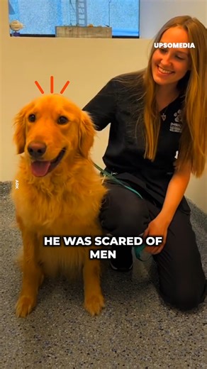 This vet had to find a way to treat this golden retriever. His new patient, Brixton, doesn't like men. The doctor had only one solution. | Hallelujah