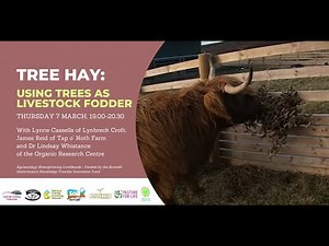 Tree hay – using trees as livestock fodder