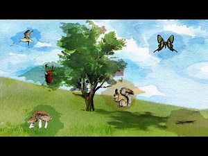 NOVA's Evolution Lab Trailer