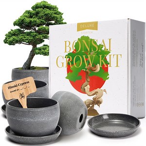 [Hot Item] Deluxe Bonsai Tree Kit with Bonsai Seed Kit