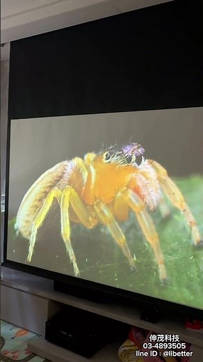 Optoma UHC70LV 安裝實拍｜4K / 雙光雷射 / Dolby 家庭劇院 ｜投影機施工案例｜家庭劇院規劃分享