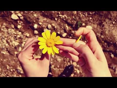 The Flower (꽃) - Korean AI Love Song