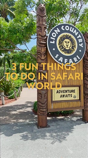 What if we told you that all these activities are included with your admission?! After the drive-through safari, don't skip the walk-through adventure park! That's where you'll find so much more to do, including these activities, rides, more animal habitats and a water park! | Lion Country Safari