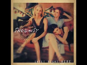 SheDAISY-Passenger Seat
