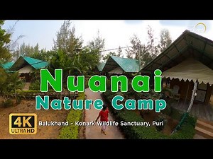 Nuanai Nature Camp, Puri | Balukhand Sea Beach | Balukhand Konark Wildlife Sanctuary | Odisha - 4K