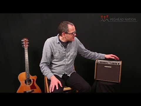 Fishman Loudbox Mini Charge Demo from Peghead Nation