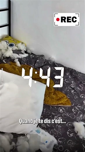 Maybe I have a dog in the house, I don't know. Her son destroys all the pillows in the middle of ...