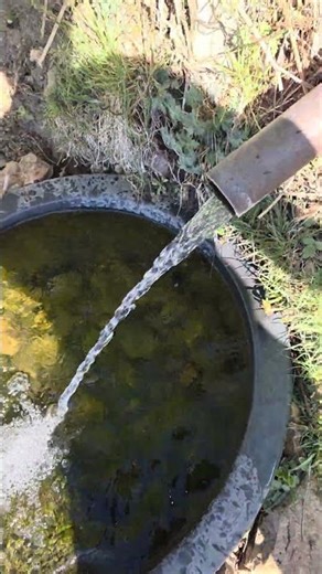 Natural Spring Water: Clean Source or Hidden Risk