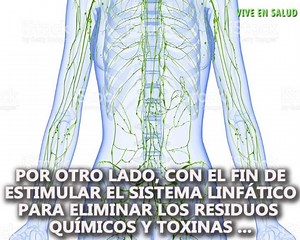 Conservar la salud es una de las condiciones para tener una buena calidad de vida. ... la prevención, porque las personas actúan hasta que se enferman. “Olvidamos que nuestro cuerpo requiere continuas revisiones y cuidados | Vive En Salud