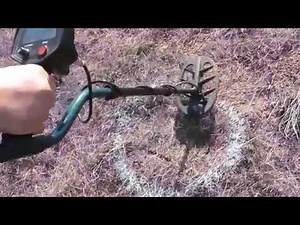 Chaser of Detech with Teknetics T2, Fisher F 75 and XP Deus