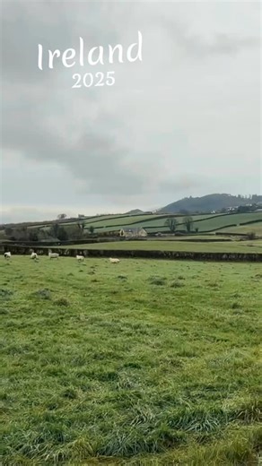 Ireland was as amazing as I imagined ☘️ Last month we went on the hunt to find the original farmland where parts of my family came from, and we found it! Truly an unforgettable experience! | Nick Hancock