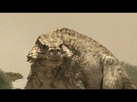 Walking with Monsters - Gorgonopsid preying on Scutosaurus