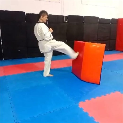 آموزش ضربات استاندارد پا در هنر رزمی تکواندو@tofigh_tkd #یوتوب #یوتیوب