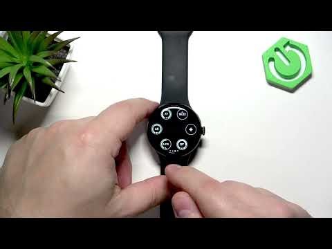 GOOGLE Pixel Watch 4 41mm - How to Track Calories