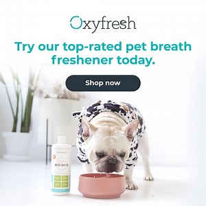 Odorless, tasteless, and vet-recommended, it’s the easiest way to keep their mouth healthy, every time they drink.⭐ Oxyfresh Pet Dental Water Additive uses clean, non-toxic ingredients to fight bad breath, plaque, and tartar without harsh mints or brushing. | Oxyfresh