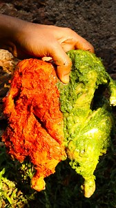 Chicken Butterfly Grilled #fbreelsvideo #outdoorcooking #fbreelsfypシ゚viralシ #asmr | Ginger Cook ASMR