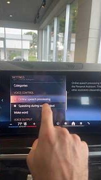 BMW Personal Assistant Online Speech Processing