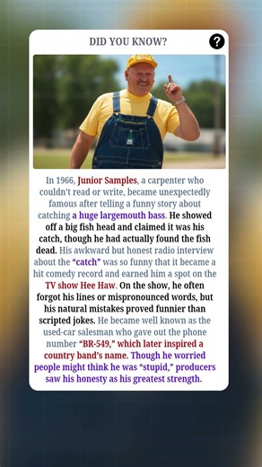 The Carpenter Who Became a TV Legend by Accident