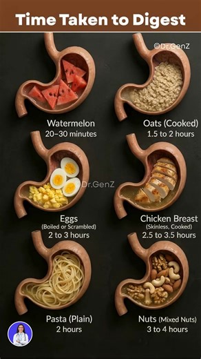 Food Digestion Times ⏱️ | What Stays in Your Stomach the Longest? 🥩 High-fat & protein-rich foods take the longest to digest 🍞 Simple carbs digest quickly, giving fast energy 🥗 Fiber-rich foods slow digestion but keep you full longer 👉 Knowing digestion time helps with better meal timing, weight control & gut health 💪✨ #FoodDigestion #GutHealth #HealthyEating #DigestiveHealth #NutritionFacts #EatSmart | Glowify