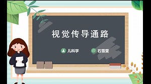 视觉传导通路 石雪雯