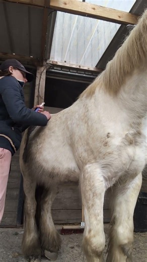 et vous avez -10% avec mon code GRANOLA10