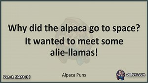 Alpaca - Jokes, Puns, Wordplays, and Laughter