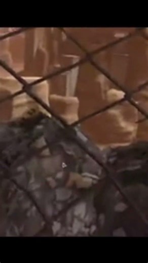 This VRChat World Is Watching Your Moves