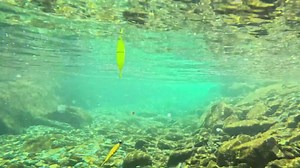 Amazon.com : THKFISH 4PCS LED Lighted Fishing Bobbers Fishing Floats for Night, Spring Bobber Float Saltwater Freshwater Lighted Floats Glow for Crappie Walleye Catfish : Sports & Outdoors