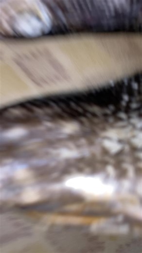 Flatfish Preparation: Step-by-Step Cooking Guide