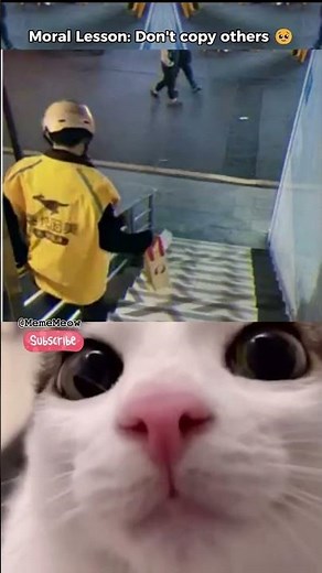 Do not copy others 🥹😂#cat #meme #dance #funny