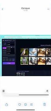 Создать картинки и видео. Изменить формат.
