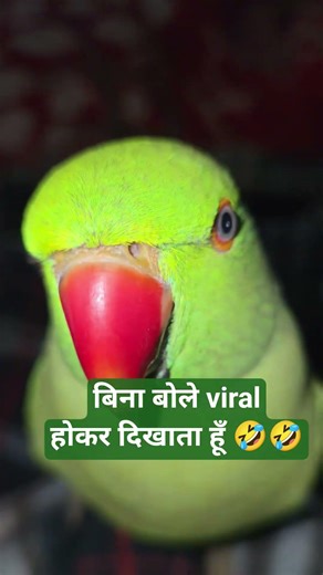 bina bole viral hona mithuu 🤣🦜😁 #trending #viral #shorts