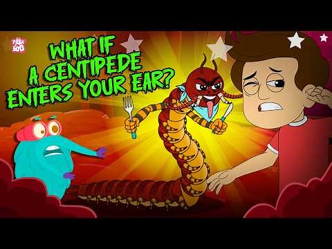 Myth vs Reality | What If a Centipede Enters Your Ear? | Do Centipedes Eat Human Brain? | Dr. Binocs