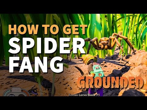 How to get Spider Fang Grounded