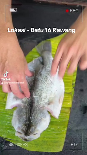 Restoran D Perahu Ikan Bakar & Shell Out di Rawang