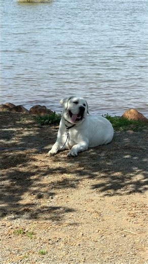 I’m just a happy happy guy